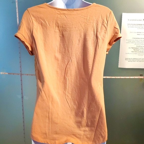 Beautiful Lace-Front, Solid Back and Sleeves, Office Casual S/S Top, Stretchy - Picture 6 of 10